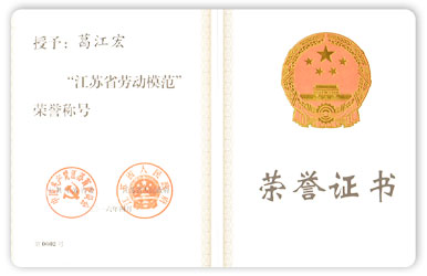 江苏省劳动模范 荣誉证书葛江宏